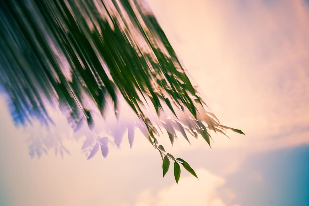 新同学，与“智能原生”同行
